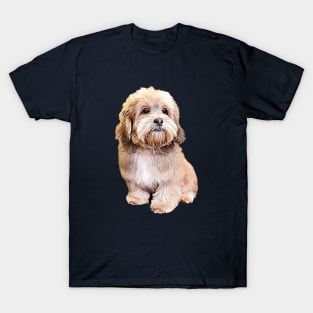 Shihpoo Shipoo Doodle Poodle Cutie Pie! T-Shirt